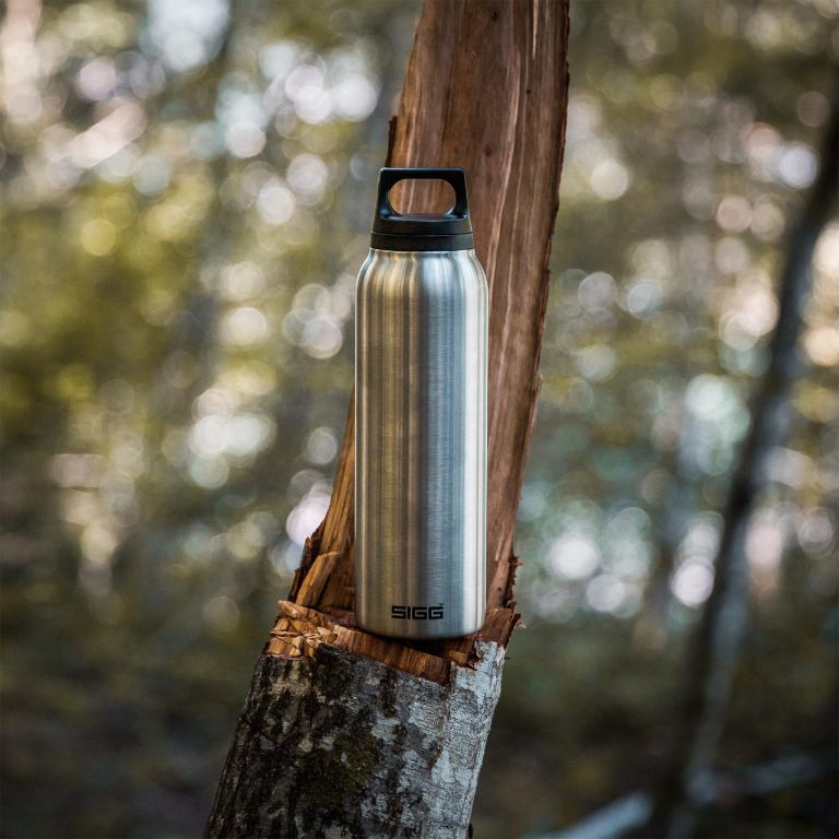 Sigg sales thermo classic